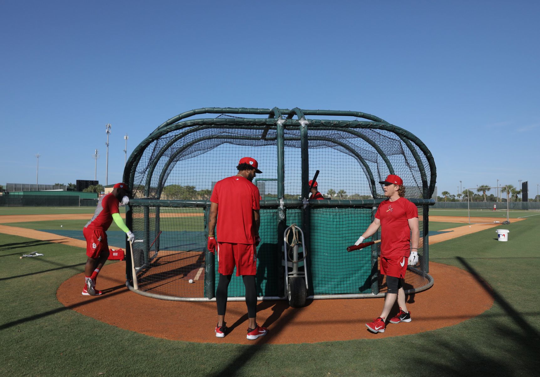 2019 Cardinals spring training